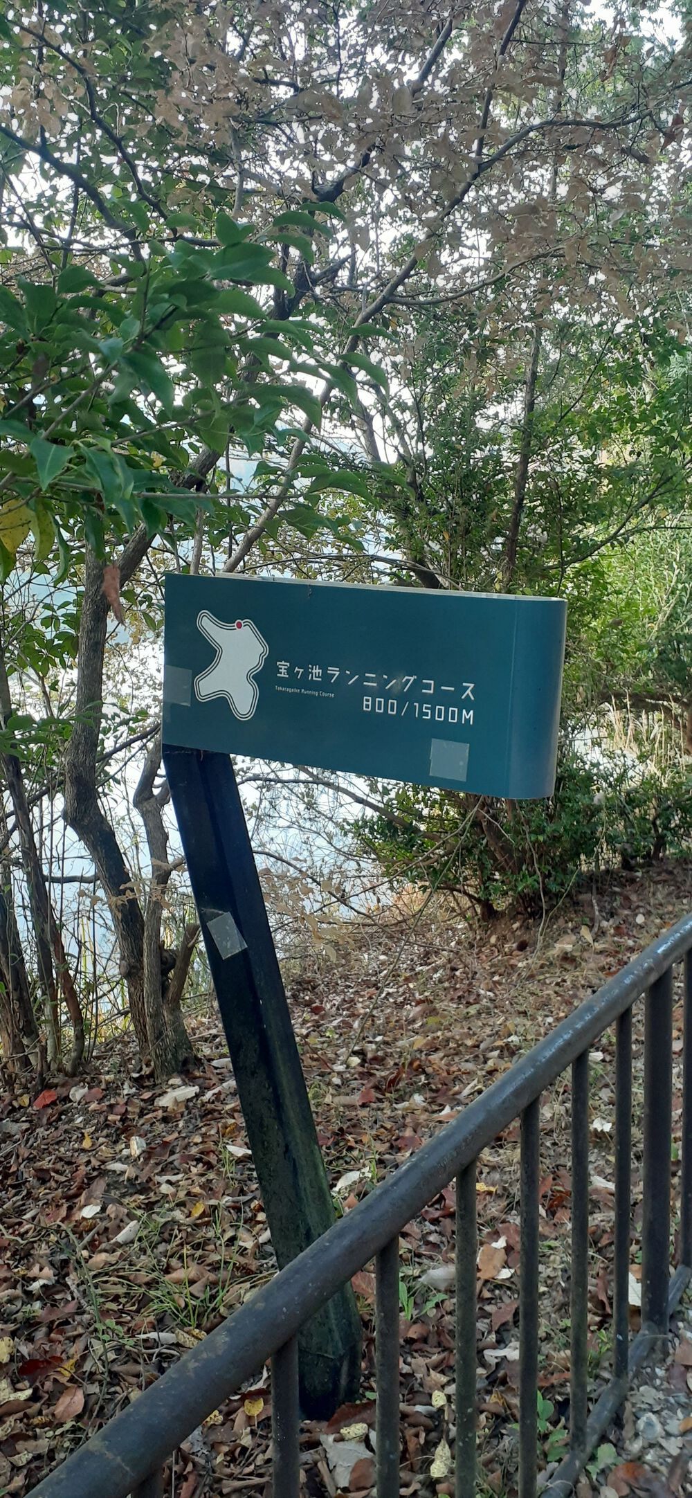 宝ヶ池1.5キロ～周回コースの写真5