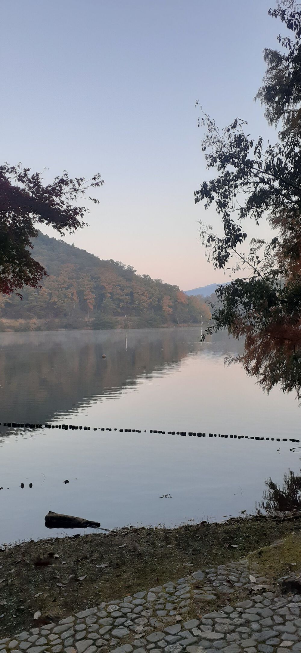 宝ヶ池1.5キロ～周回コースの写真6