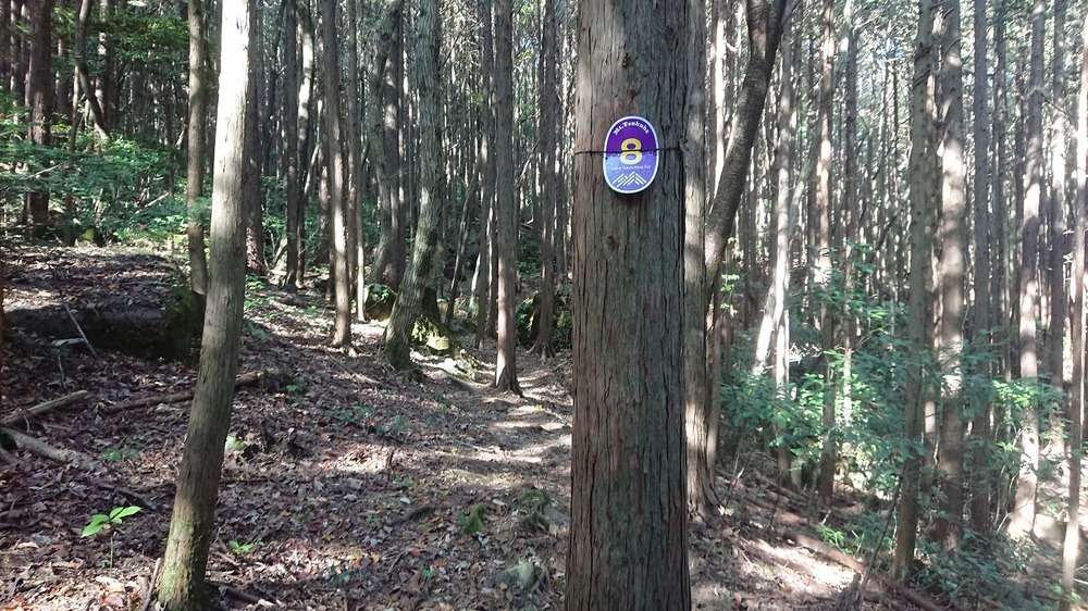 筑波山でのトレイルランを楽しめるオススメのコースの写真6