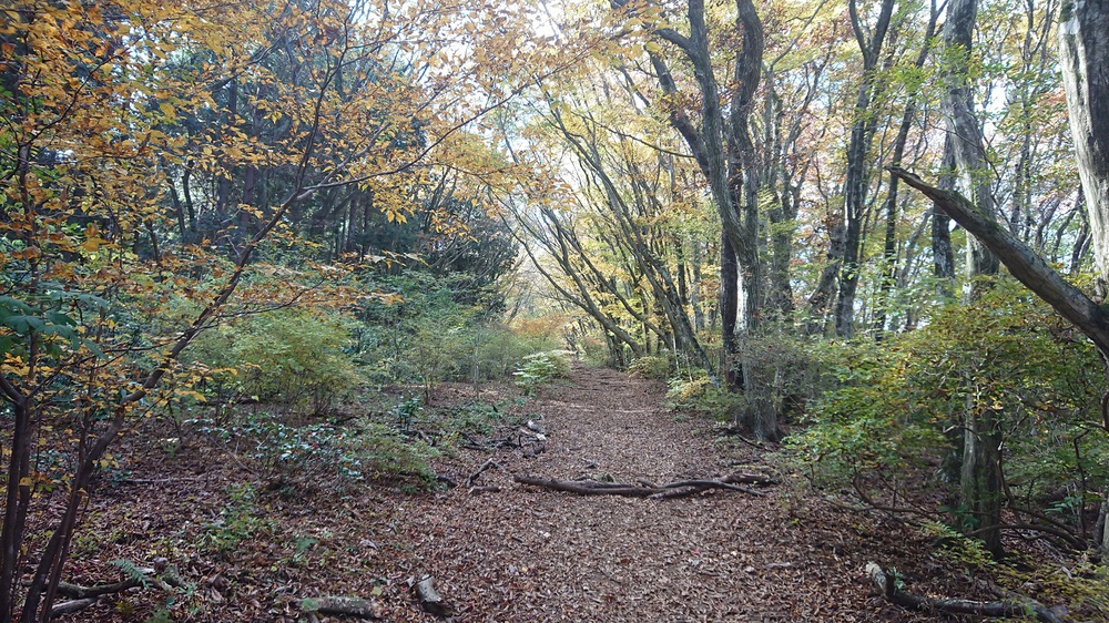 筑波山でのトレイルランを楽しめるオススメのコースの写真8