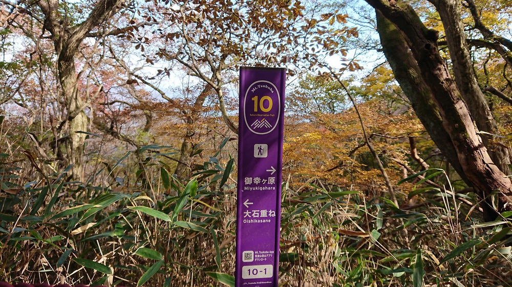 筑波山でのトレイルランを楽しめるオススメのコースの写真10