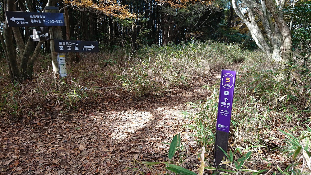 筑波山でのトレイルランを楽しめるオススメのコースの写真11