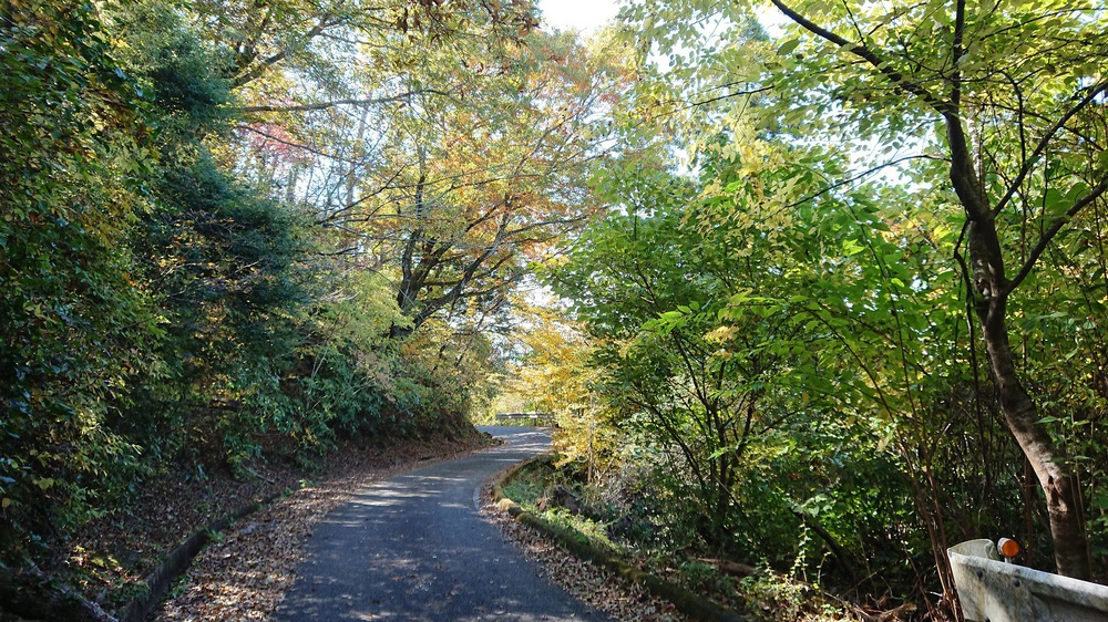 筑波山でのトレイルランを楽しめるオススメのコースの写真12