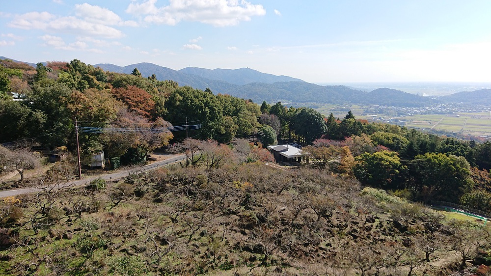 筑波山でのトレイルランを楽しめるオススメのコースの写真13