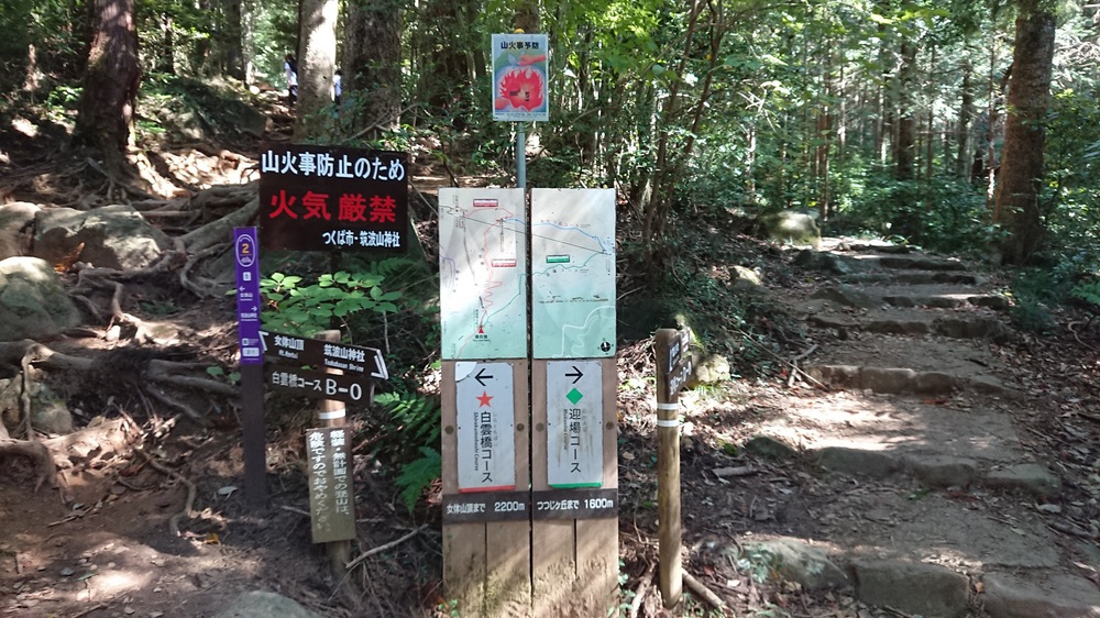 初めての筑波山でトレイルランにトライの写真3