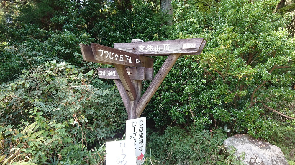 初めての筑波山でトレイルランにトライの写真5