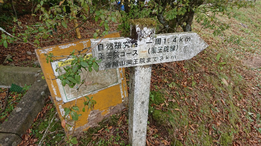 初めての筑波山でトレイルランにトライの写真9