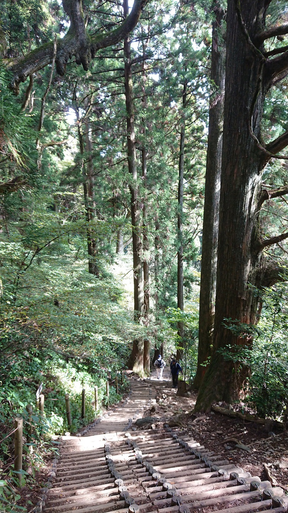 初めての筑波山でトレイルランにトライの写真11