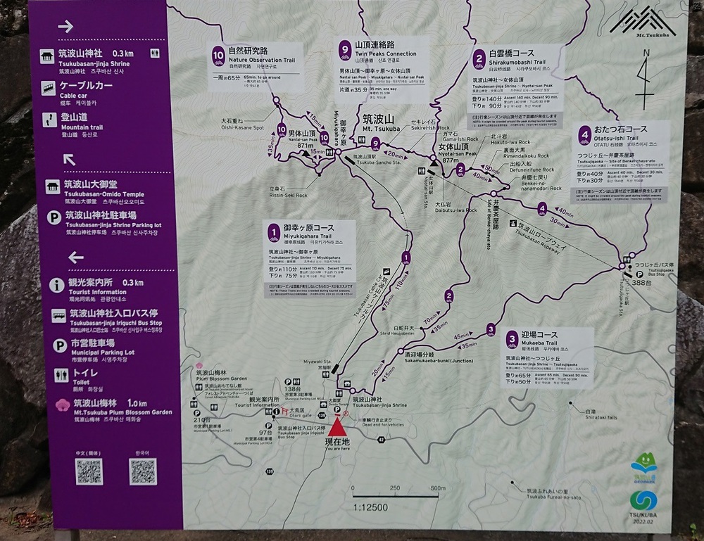 初めての筑波山でトレイルランにトライの写真13