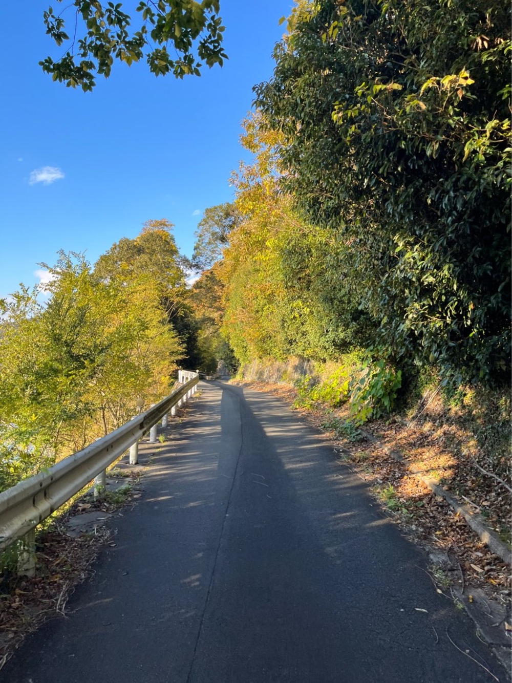 千種川沿を旧赤穂線鉄道跡に9km！の写真3