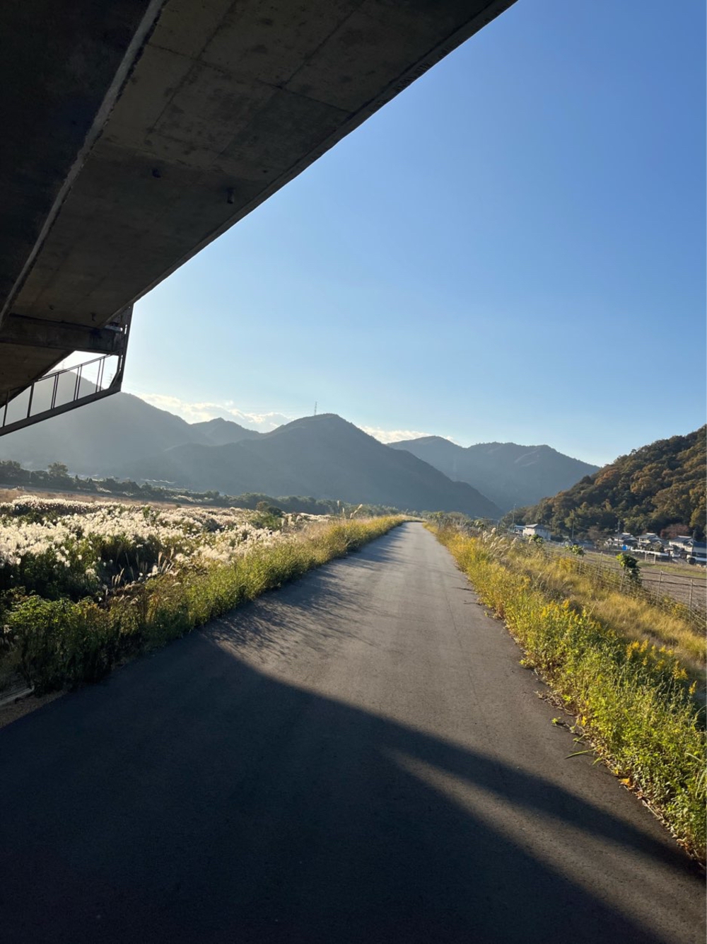 千種川沿を旧赤穂線鉄道跡に9km！の写真6