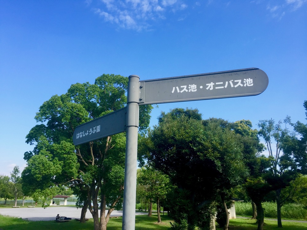 【東京・葛飾】都内随一の景観美しい水元公園と神社や温泉を巡る葛飾Runtrip！！の写真5