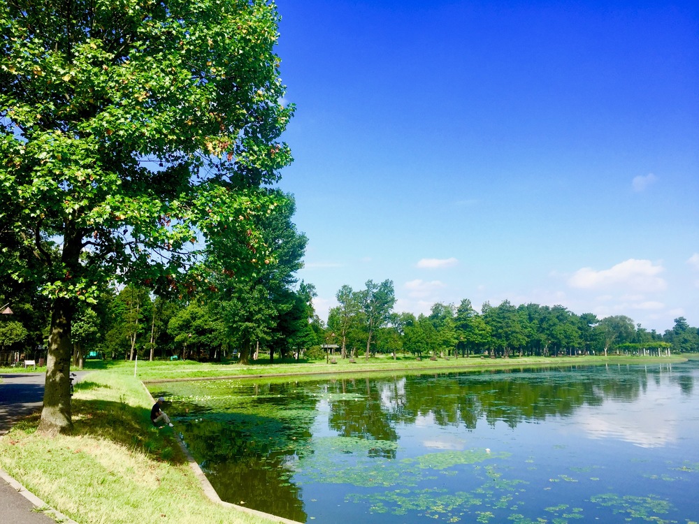 【東京・葛飾】都内随一の景観美しい水元公園と神社や温泉を巡る葛飾Runtrip！！の写真6