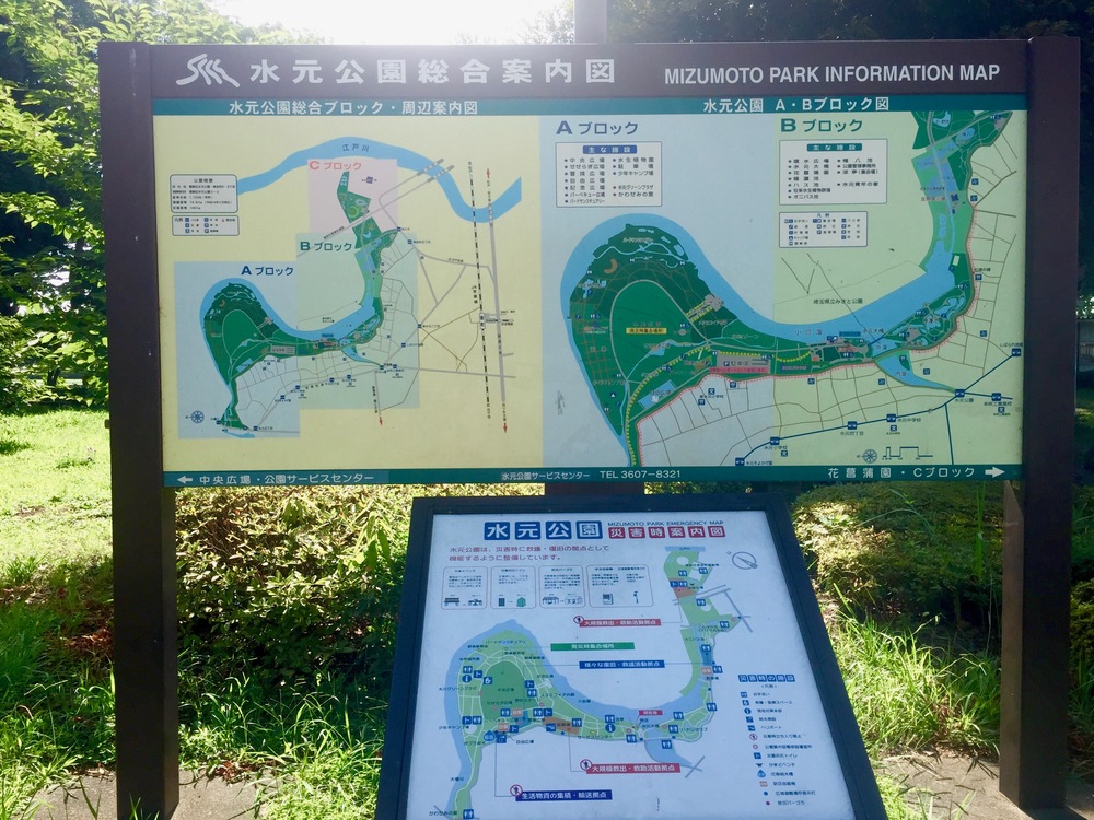 【東京・葛飾】都内随一の景観美しい水元公園と神社や温泉を巡る葛飾Runtrip！！の写真9