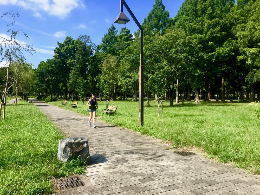 【東京・葛飾】都内随一の景観美しい水元公園と神社や温泉を巡る葛飾Runtrip！！の写真11