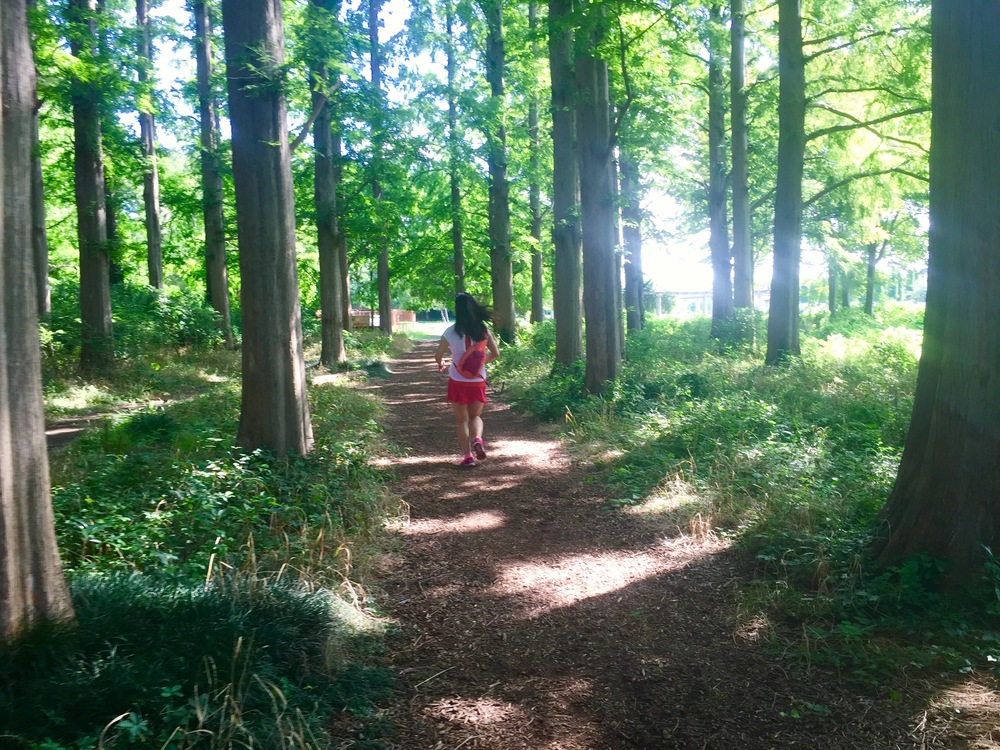 【東京・葛飾】都内随一の景観美しい水元公園と神社や温泉を巡る葛飾Runtrip！！の写真12