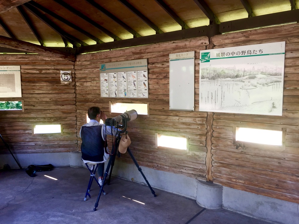 【東京・葛飾】都内随一の景観美しい水元公園と神社や温泉を巡る葛飾Runtrip！！の写真15