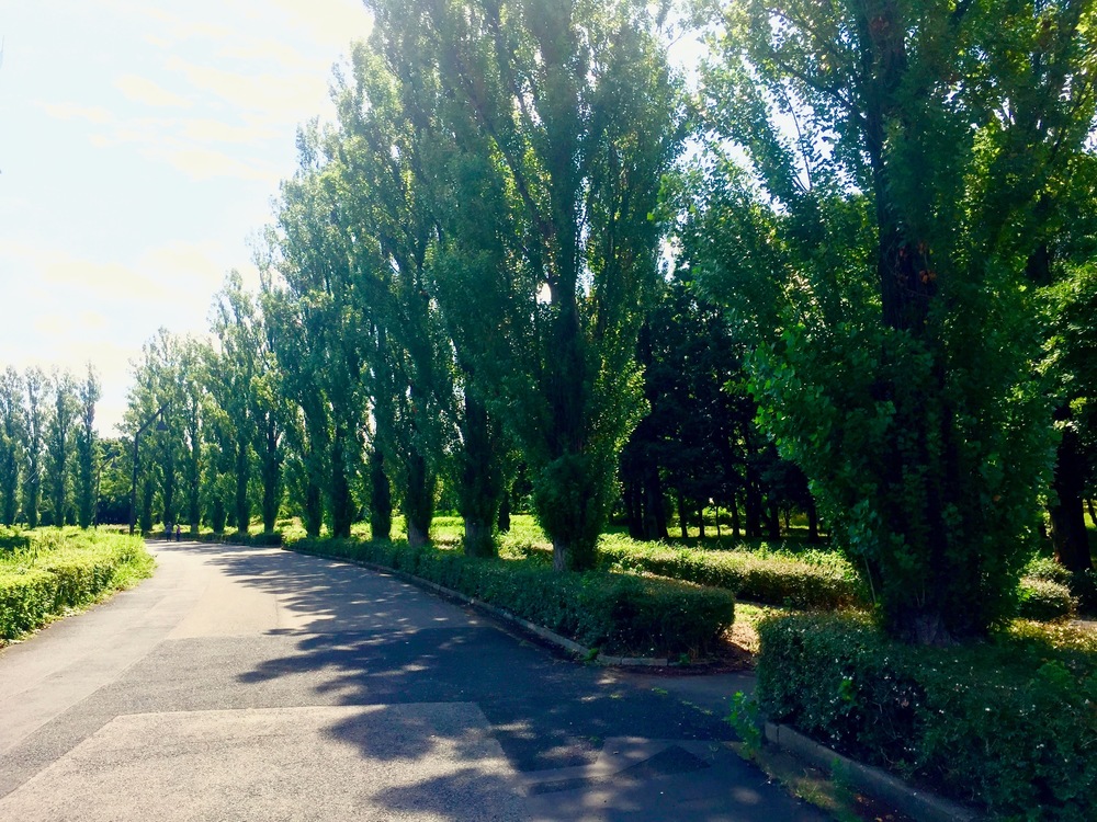 【東京・葛飾】都内随一の景観美しい水元公園と神社や温泉を巡る葛飾Runtrip！！の写真17