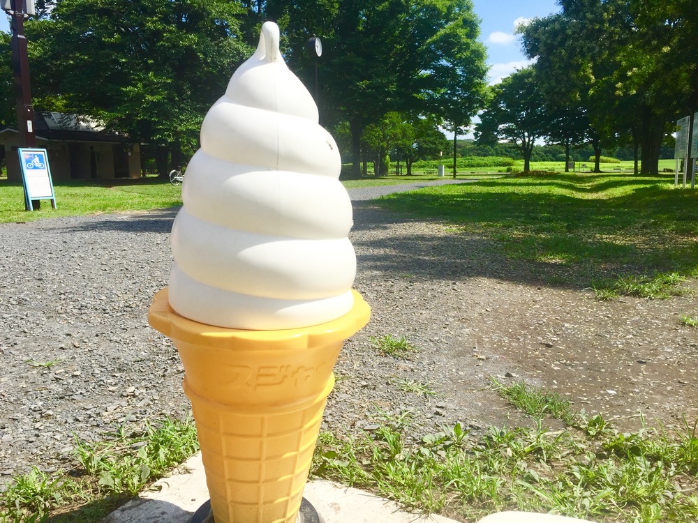 【東京・葛飾】都内随一の景観美しい水元公園と神社や温泉を巡る葛飾Runtrip！！の写真20