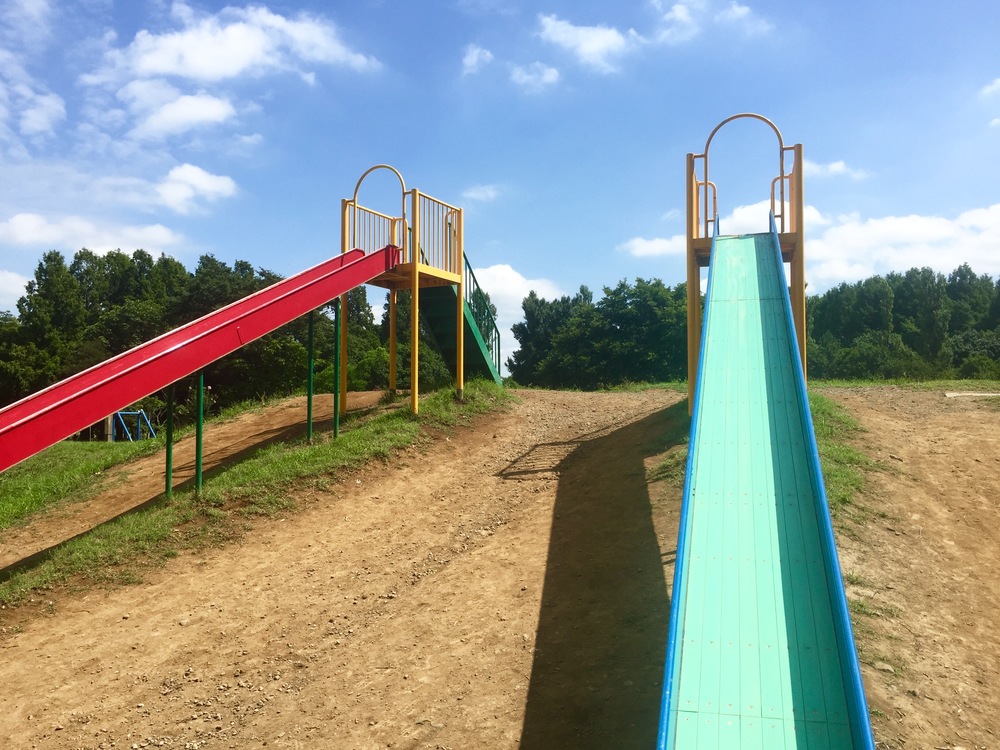 【東京・葛飾】都内随一の景観美しい水元公園と神社や温泉を巡る葛飾Runtrip！！の写真22