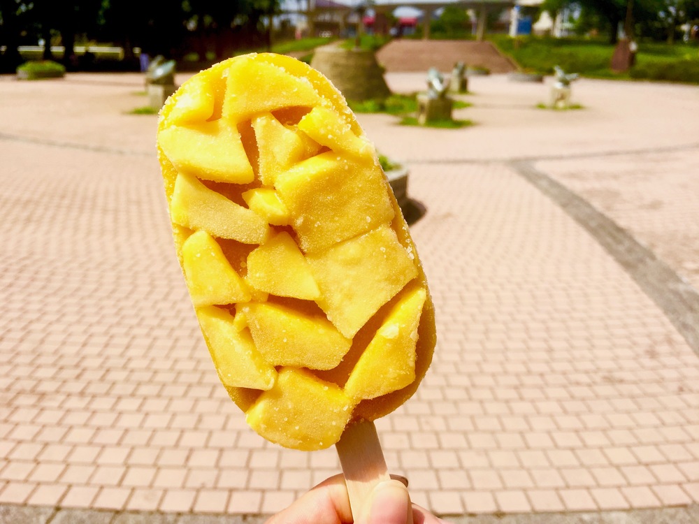 【東京・葛飾】都内随一の景観美しい水元公園と神社や温泉を巡る葛飾Runtrip！！の写真23