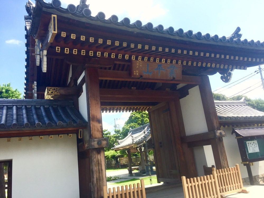 【東京・葛飾】都内随一の景観美しい水元公園と神社や温泉を巡る葛飾Runtrip！！の写真25