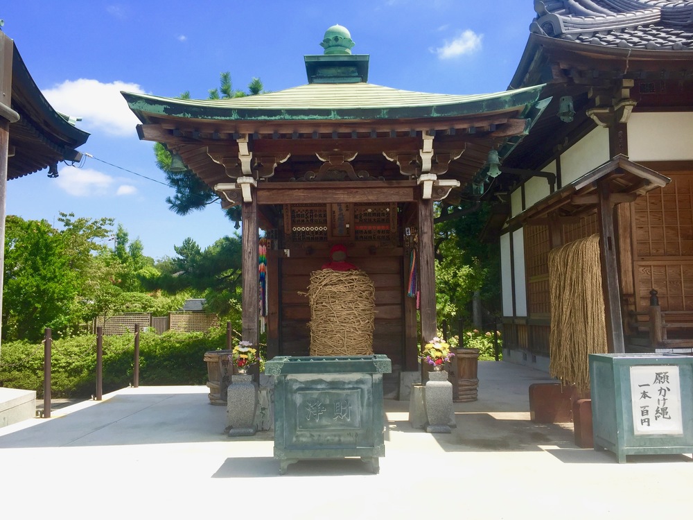 【東京・葛飾】都内随一の景観美しい水元公園と神社や温泉を巡る葛飾Runtrip！！の写真27