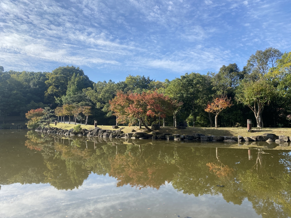 奈良公園ショートでくるっと一周の写真3