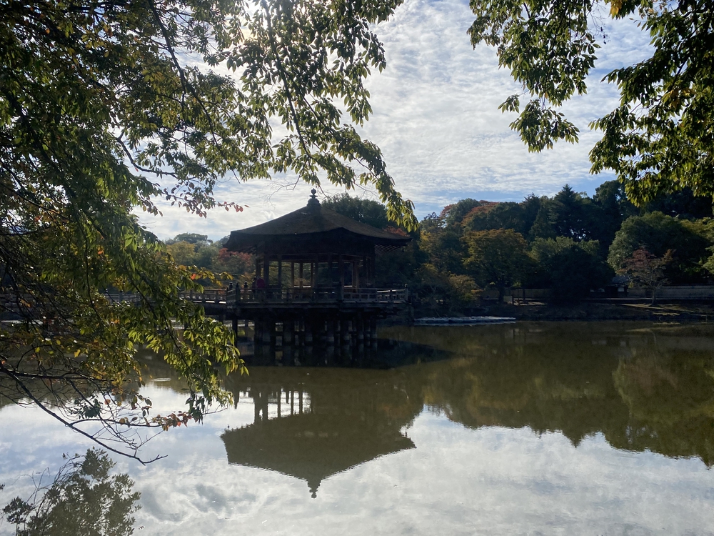 奈良公園ショートでくるっと一周の写真4
