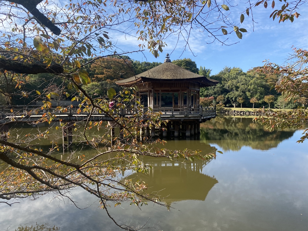 奈良公園ショートでくるっと一周の写真5