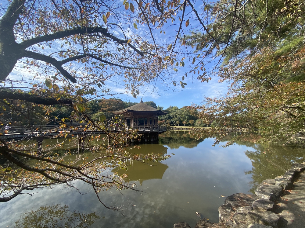奈良公園ショートでくるっと一周の写真6