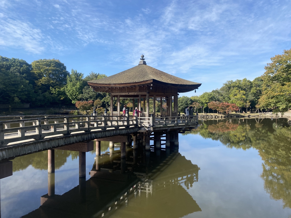 奈良公園ショートでくるっと一周の写真7