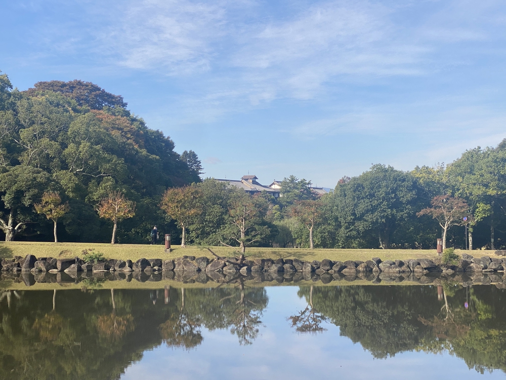 奈良公園ショートでくるっと一周の写真8