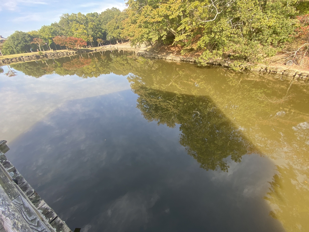 奈良公園ショートでくるっと一周の写真9