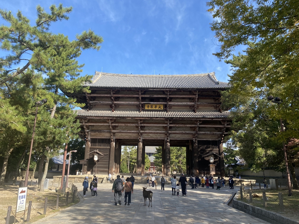 奈良公園ショートでくるっと一周の写真12