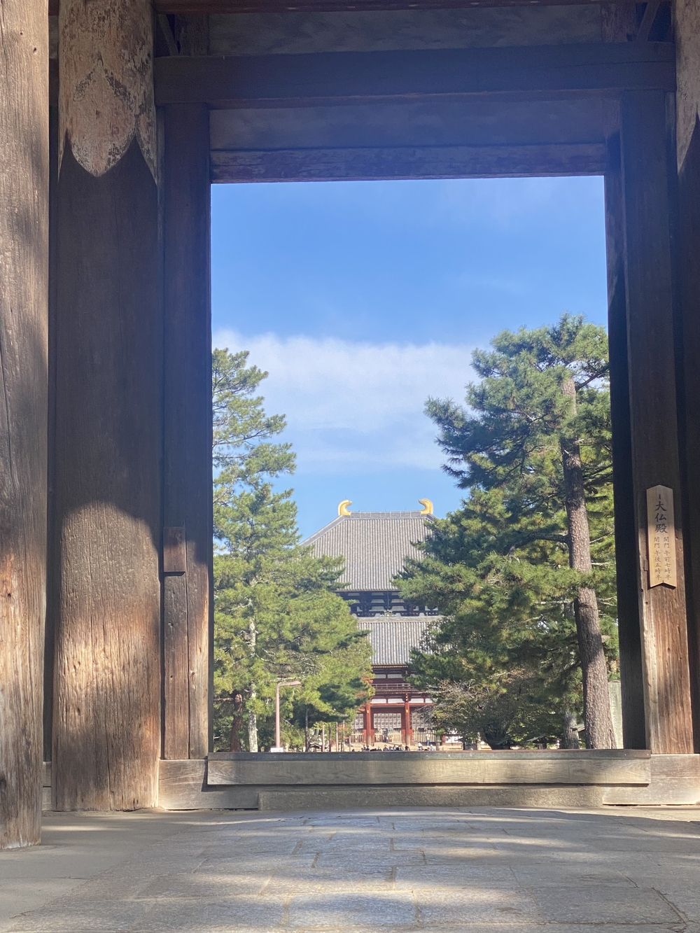 奈良公園ショートでくるっと一周の写真13