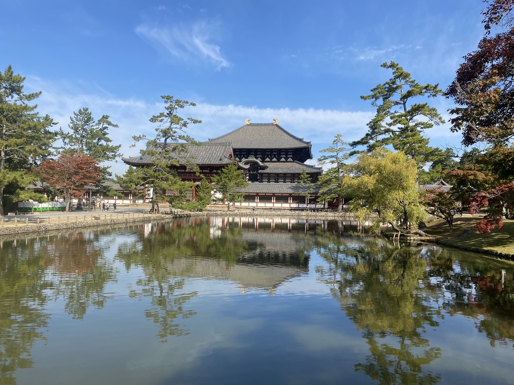 奈良公園ショートでくるっと一周の写真14