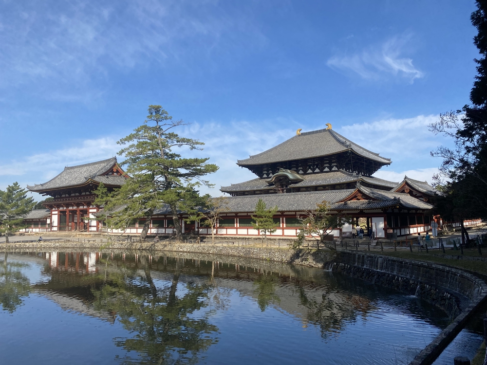 奈良公園ショートでくるっと一周の写真15