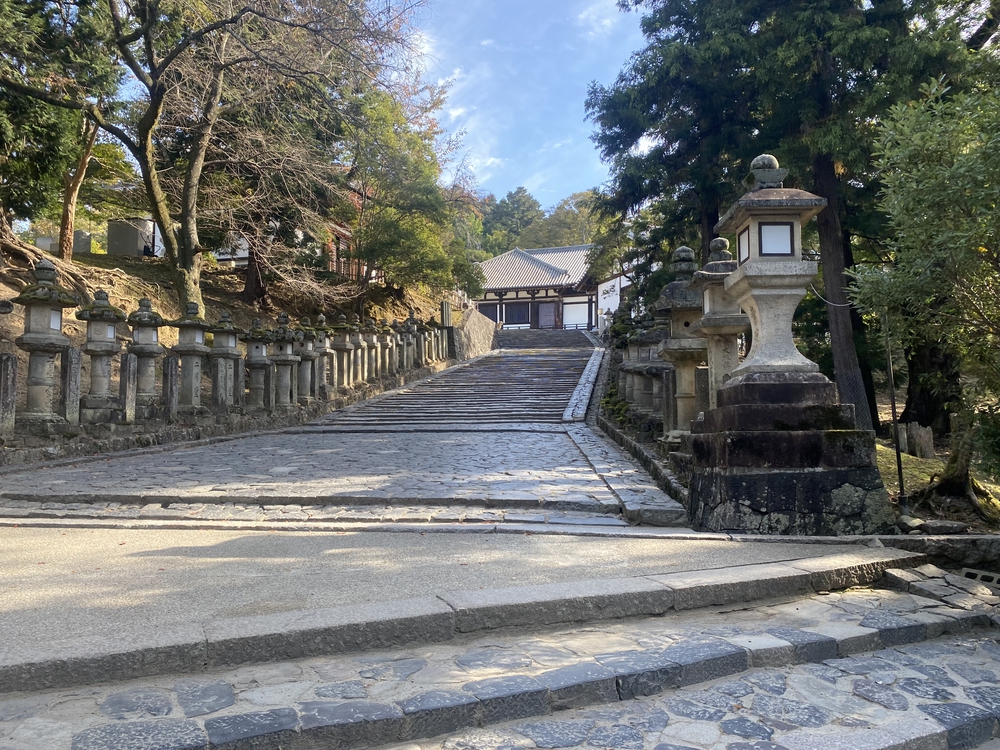 奈良公園ショートでくるっと一周の写真18