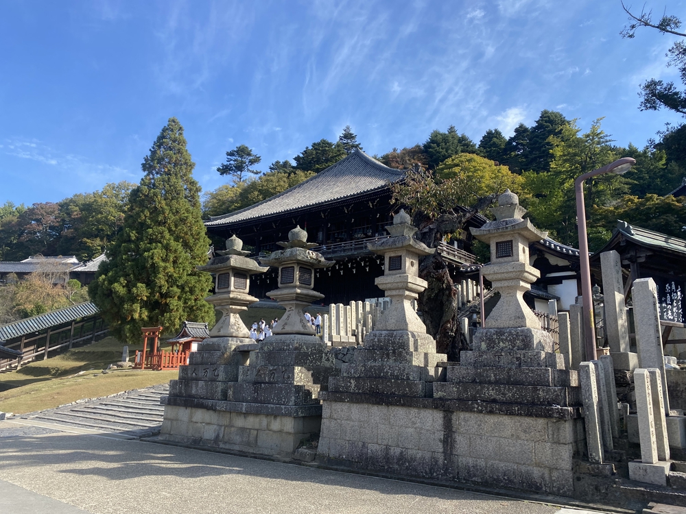 奈良公園ショートでくるっと一周の写真19