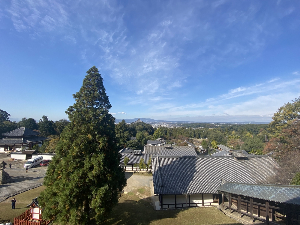 奈良公園ショートでくるっと一周の写真22