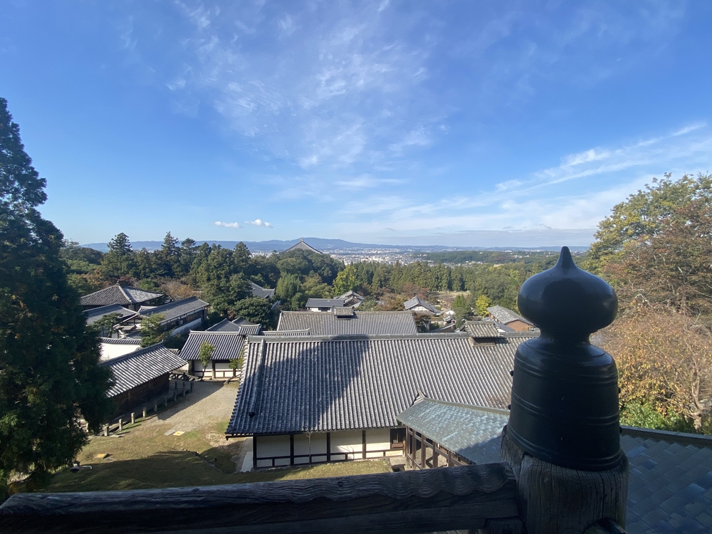奈良公園ショートでくるっと一周の写真23