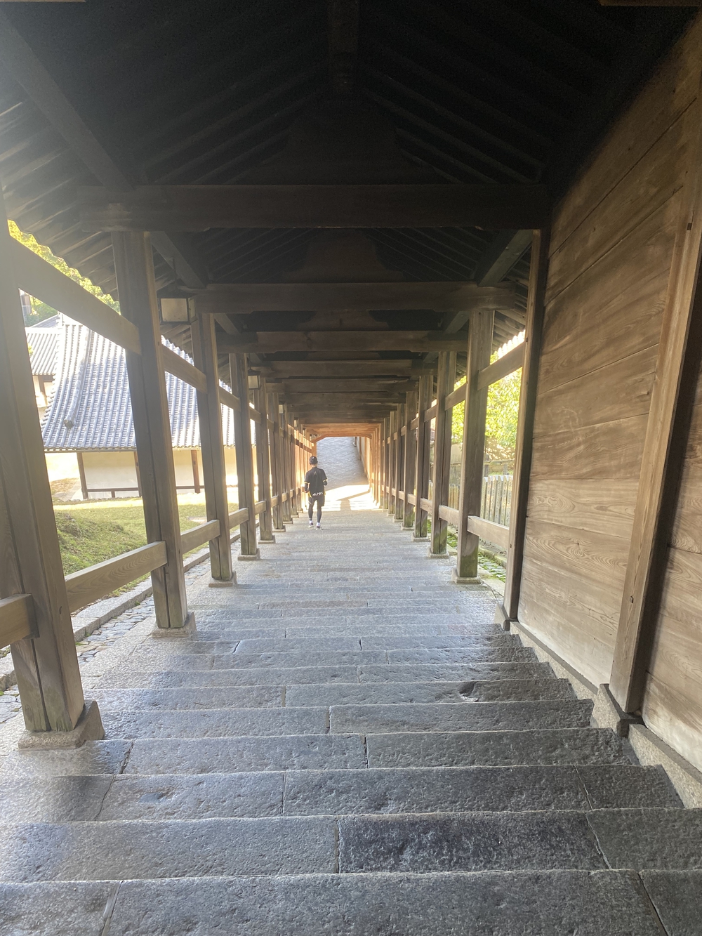 奈良公園ショートでくるっと一周の写真24