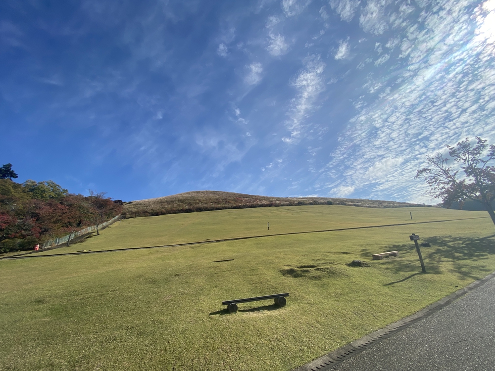 奈良公園ショートでくるっと一周の写真25