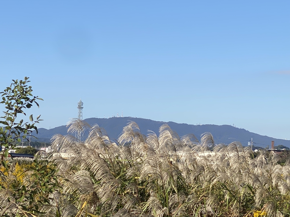 平城宮跡から新大宮まで古の都跡を駆け抜けるの写真10