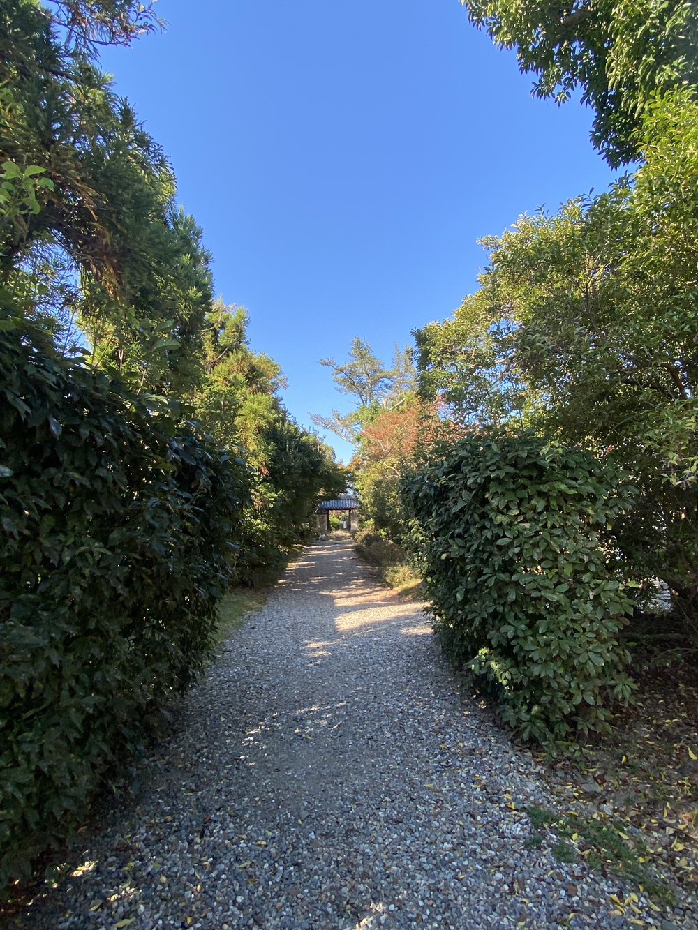 平城宮跡から新大宮まで古の都跡を駆け抜けるの写真19