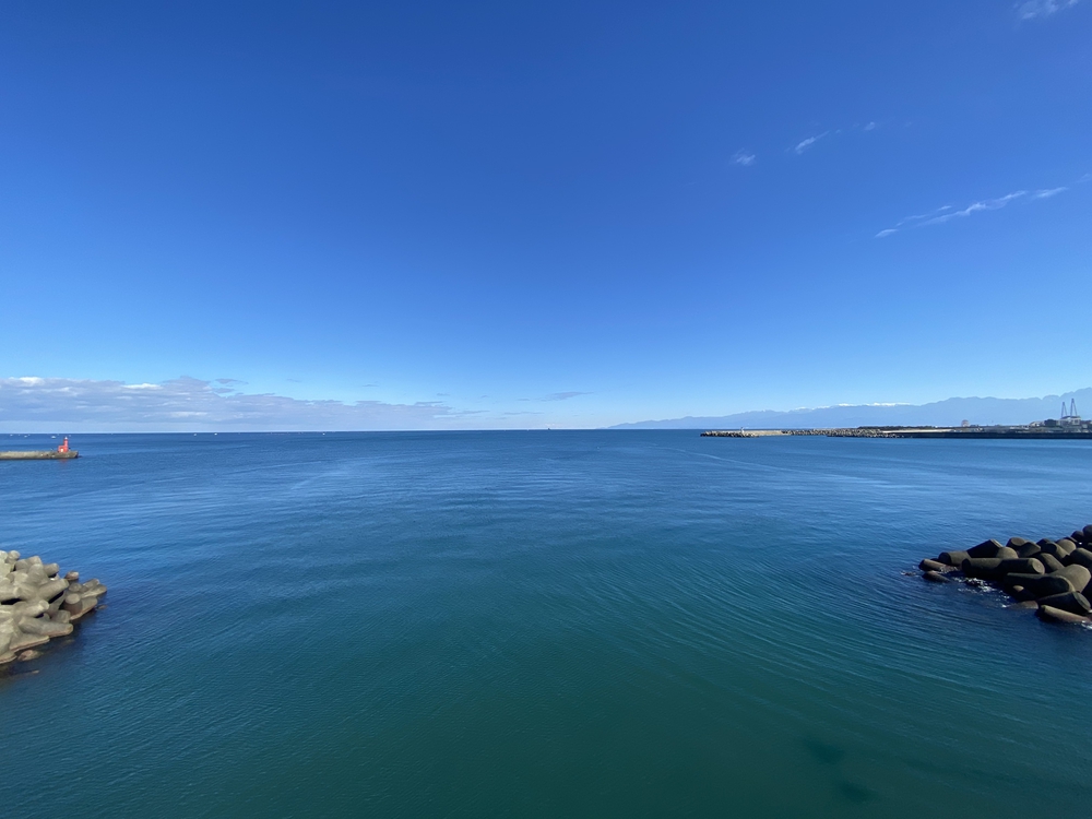 富山マラソン２０２２の写真5