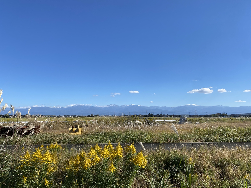 富山マラソン２０２２の写真12