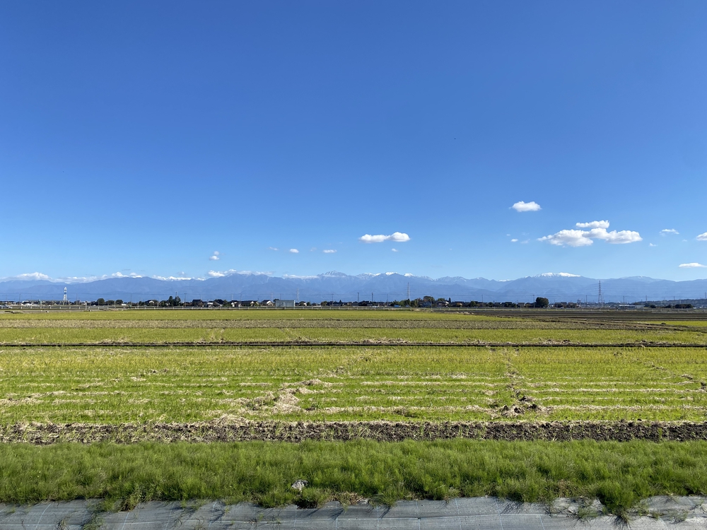 富山マラソン２０２２の写真13