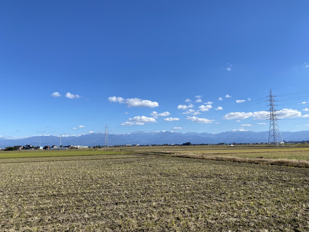 富山マラソン２０２２の写真14